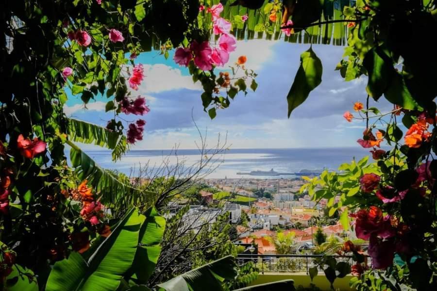 Granny'S House View Villa Фуншал Екстериор снимка